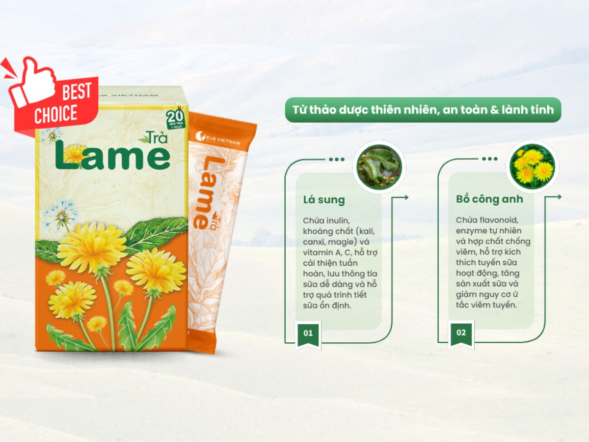 Thực phẩm lợi sữa