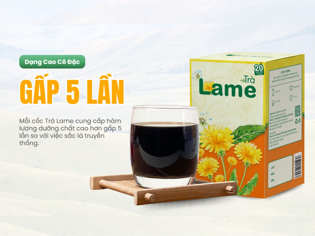 Thực phẩm lợi sữa