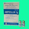 Ampicillin 1g Mekophar 6 Ampicillin 1g Mekophar