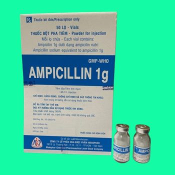 Ampicillin 1g Mekophar