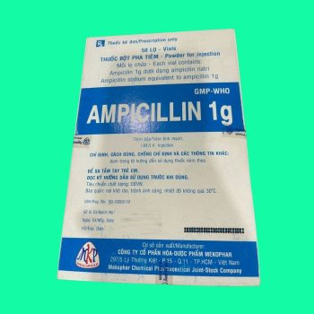 Ampicillin 1g Mekophar