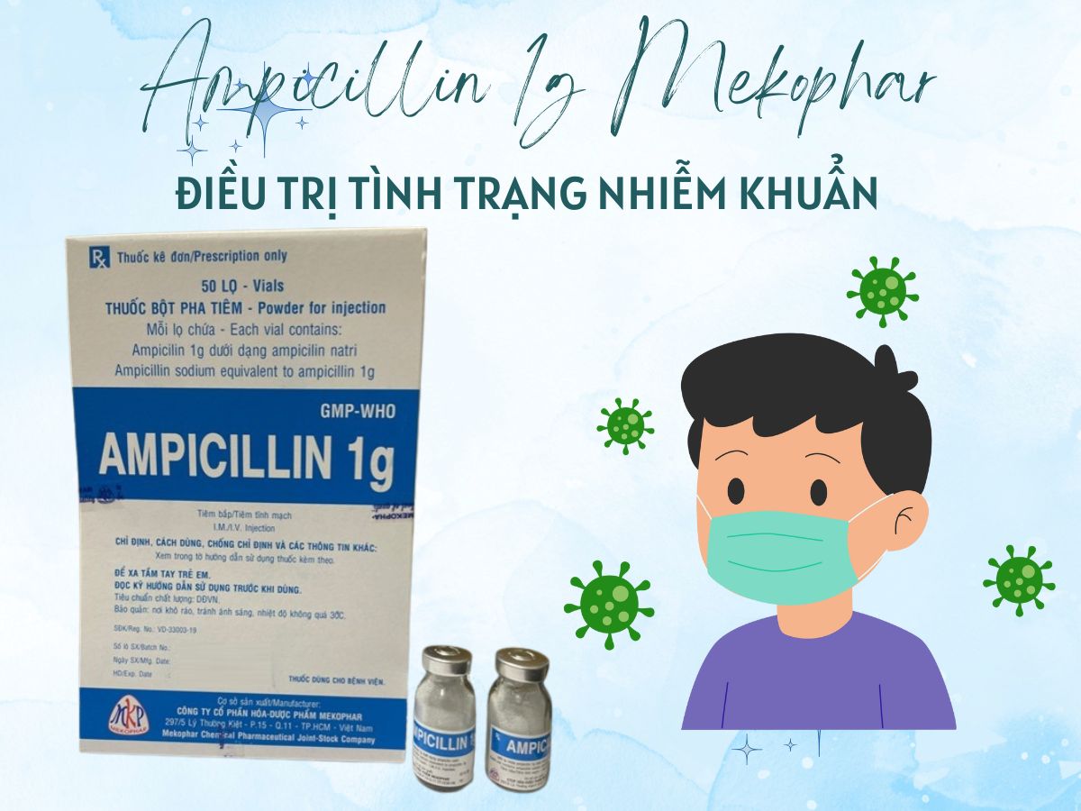 Ampicillin 1g Mekophar 7 Thuốc Ampicillin 1g Mekophar điều trị viêm phế quản mạn tính