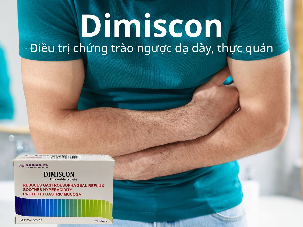 Dimiscon 11 Dimiscon