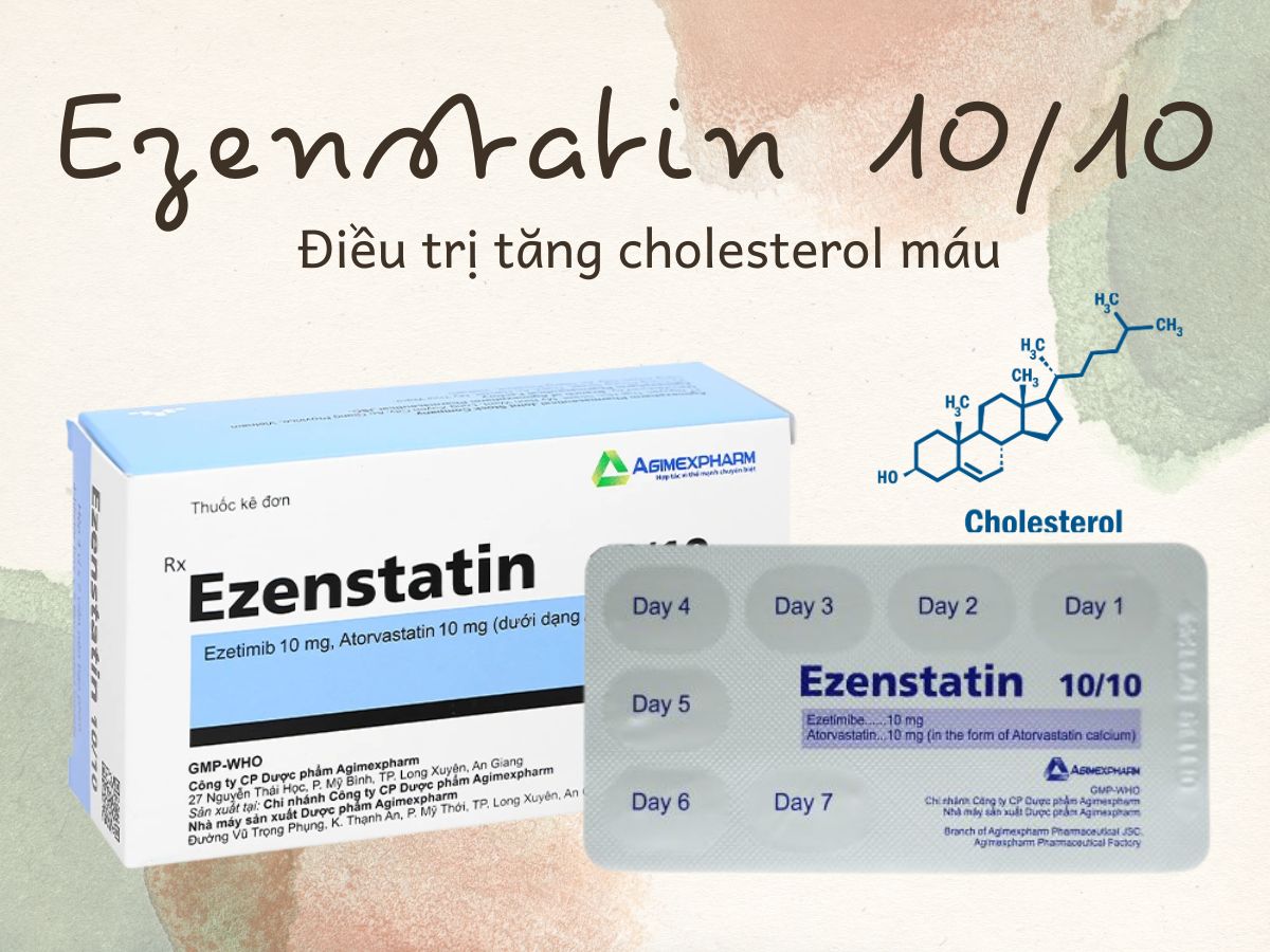 Ezenstatin 10/10 13 Thuốc Ezenstatin 10/10 – Điều trị tăng cholesterol máu nguyên phát
