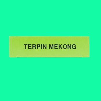 Terpin Mekong