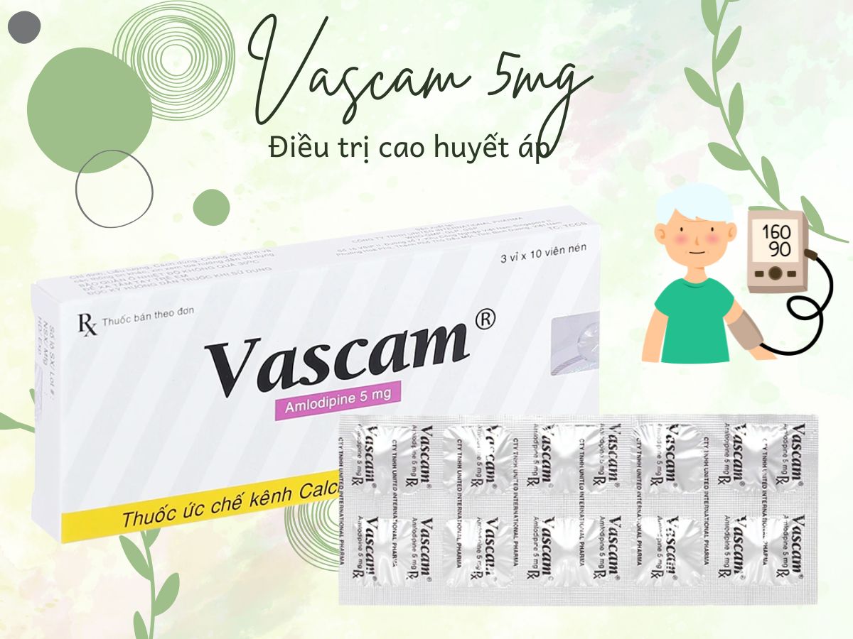 Vascam 5mg 13 Thuốc Vascam 5mg điều trị đau thắt ngực ổn định mạn tính, cao huyết áp