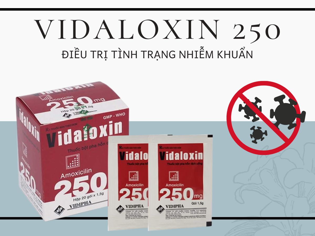 Vidaloxin 250 (Thuốc bột) 7 Thuốc bột Vidaloxin 250 điều trị nhiễm khuẩn hô hấp trên và dưới