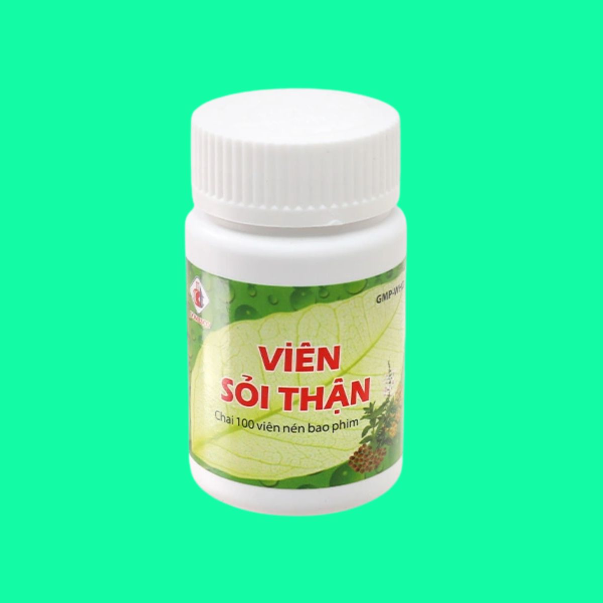 Viên Sỏi Thận Domesco (6) Viên Sỏi Thận Domesco