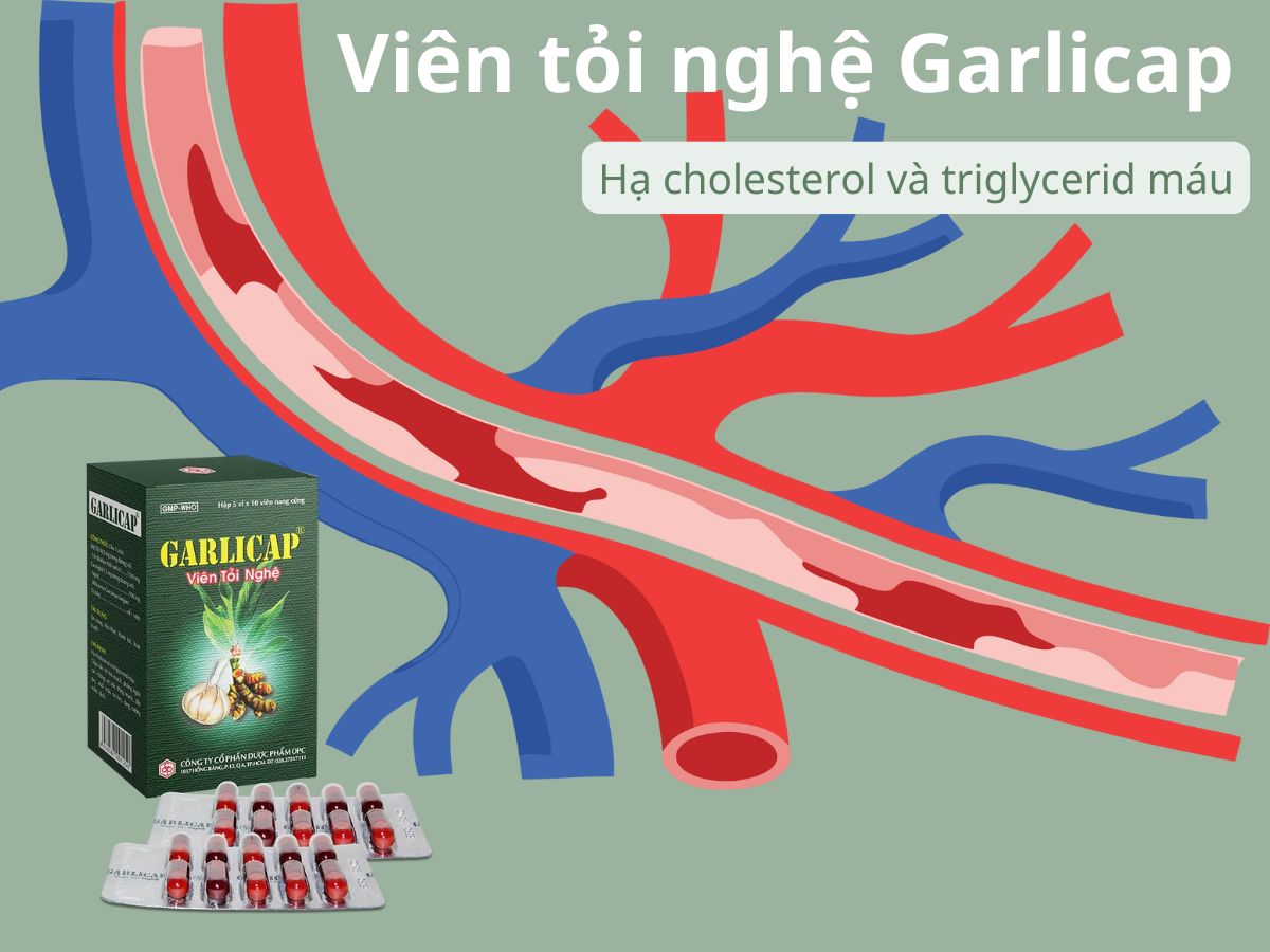 Viên tỏi nghệ Garlicap 12 Viên tỏi nghệ Garlicap