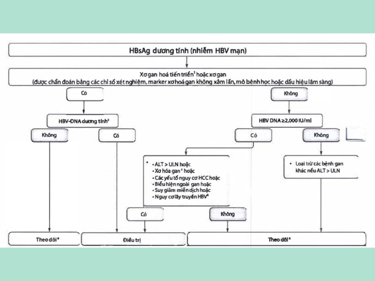 Hướng dẫn thực hành lâm sàng Quản lý Viêm gan B mạn của Hiệp Hội Nghiên Cứu Bệnh Gan Châu Âu (EASL) 2025 3 Hình 1. Chỉ định điều trị nhiễm HBV mạn