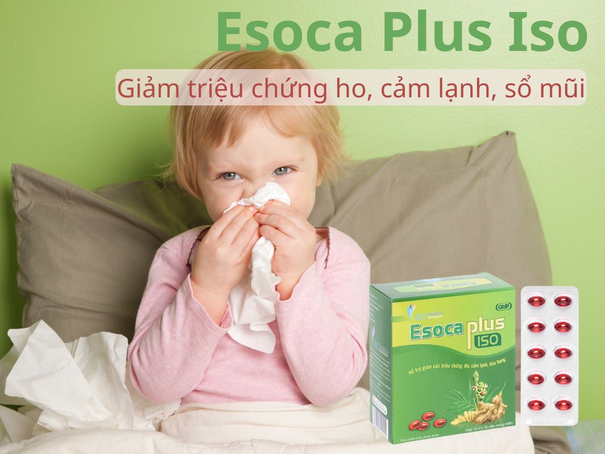 Esoca Plus Iso 10 Esoca Plus Iso