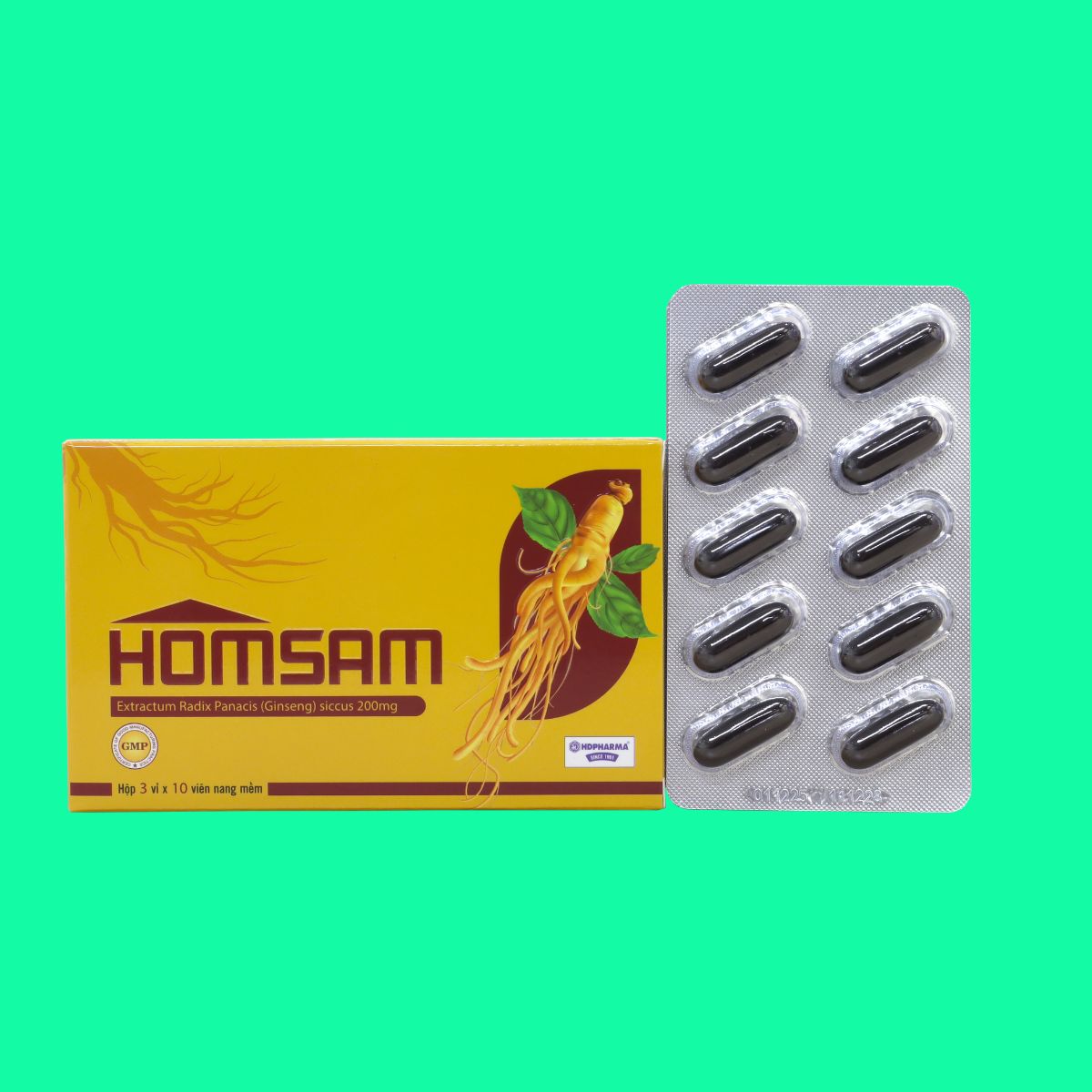 Homsam (2) Homsam