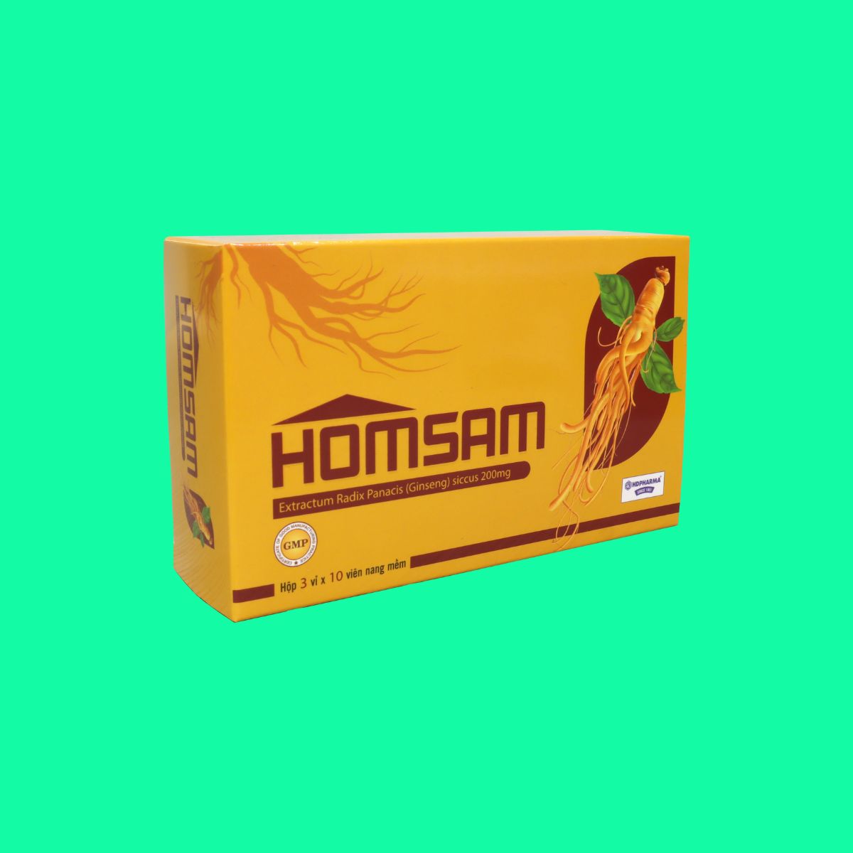 Homsam (6) Homsam