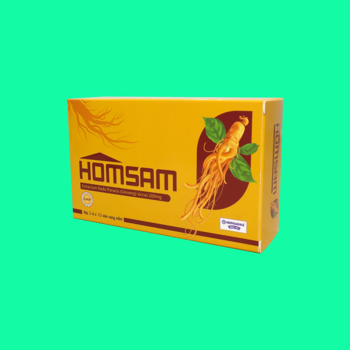 Homsam (7) Homsam
