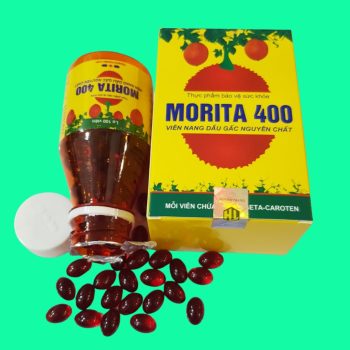 Morita 400