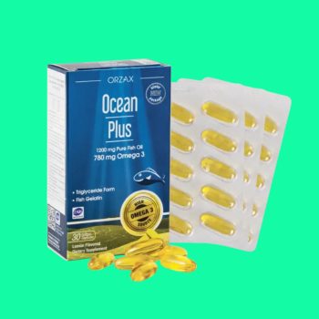 Ocean Plus