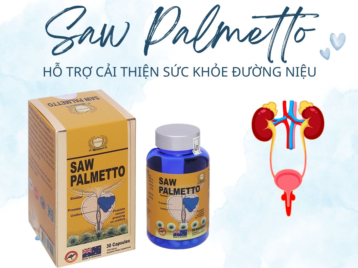 Saw Palmetto (Rossa Pharma) hỗ trợ giảm u xơ tuyến tiền liệt ở nam giới