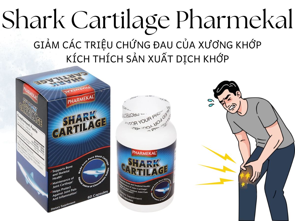Shark Cartilage Pharmekal – Hỗ trợ phục hồi và tái tạo mô sụn khớp