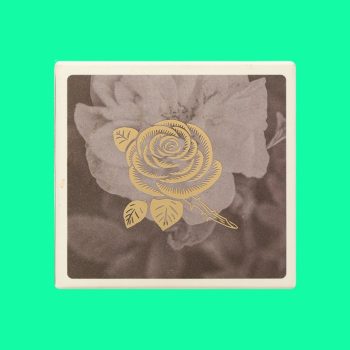 Thạch hoa hồng Cocoon