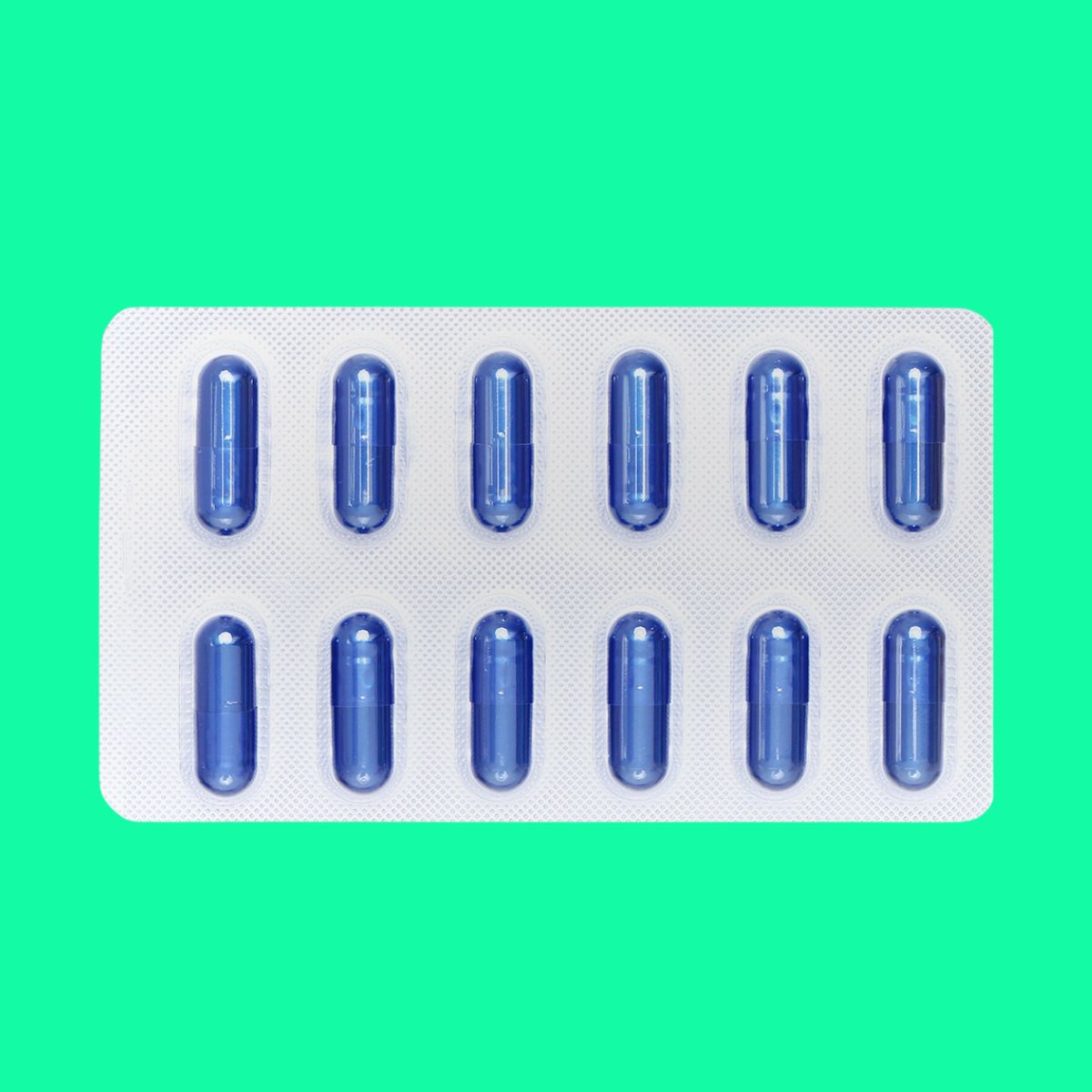 Viganam Tâm Bình (6) Viganam Tâm Bình