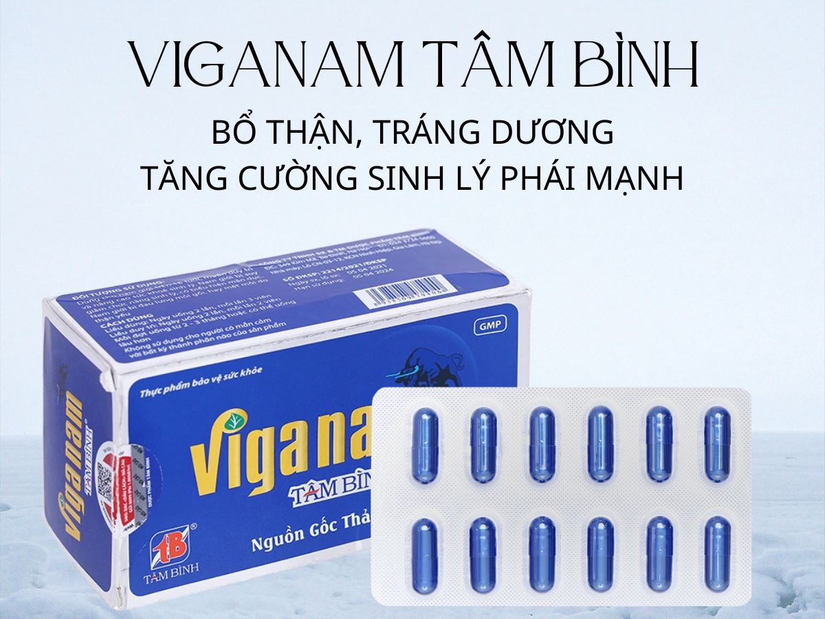 Viganam Tâm Bình 10 Viganam Tâm Bình đại bổ nguyên khí, tăng cường chức năng sinh lý