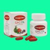 Vinaga - DHA Gacoil Capsule