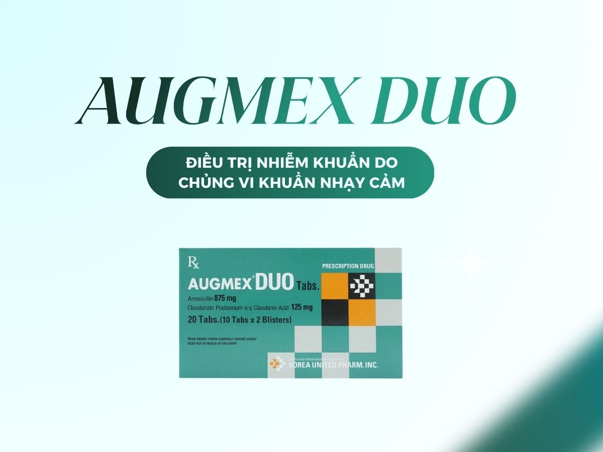 Augmex Duo 12 Augmex Duo