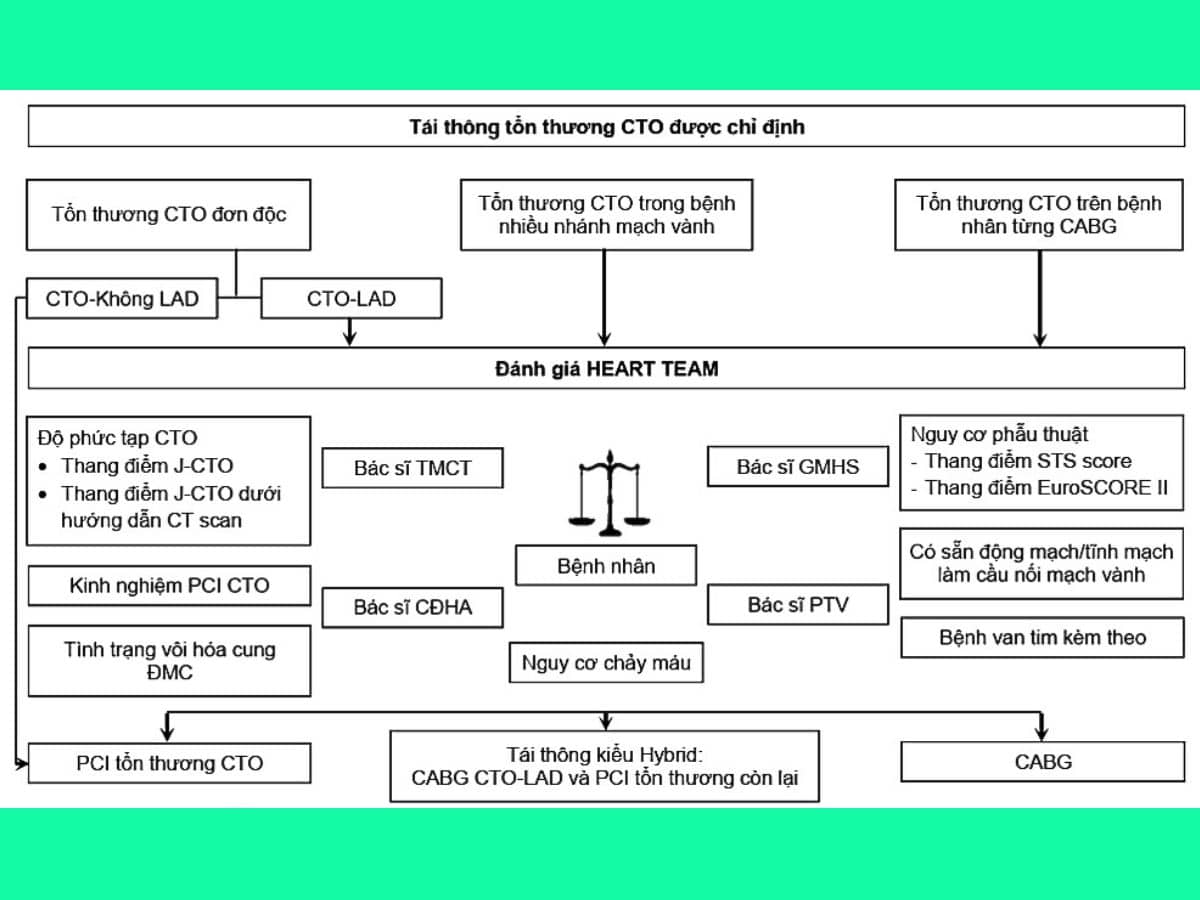 Sơ đồ 2. Lựa chọn phương pháp tái thông tổn thương CTO.