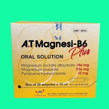 A.T Magnesi - B6 plus