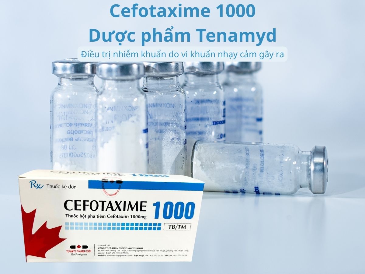Cefotaxime 1000mg Dược phẩm Tenamyd 6 Cefotaxime 1000mg Dược phẩm Tenamyd