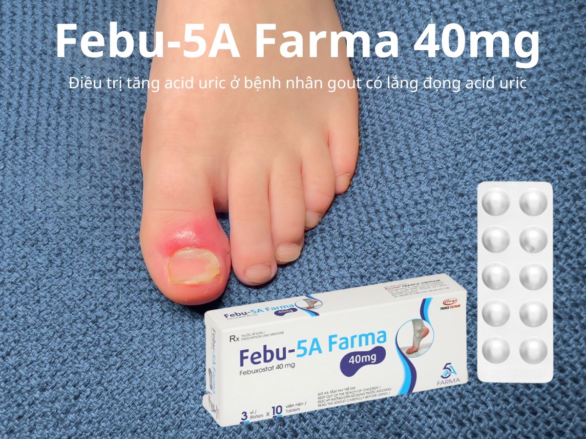 Febu-5A Farma 40mg 6 Febu-5A Farma 40mg