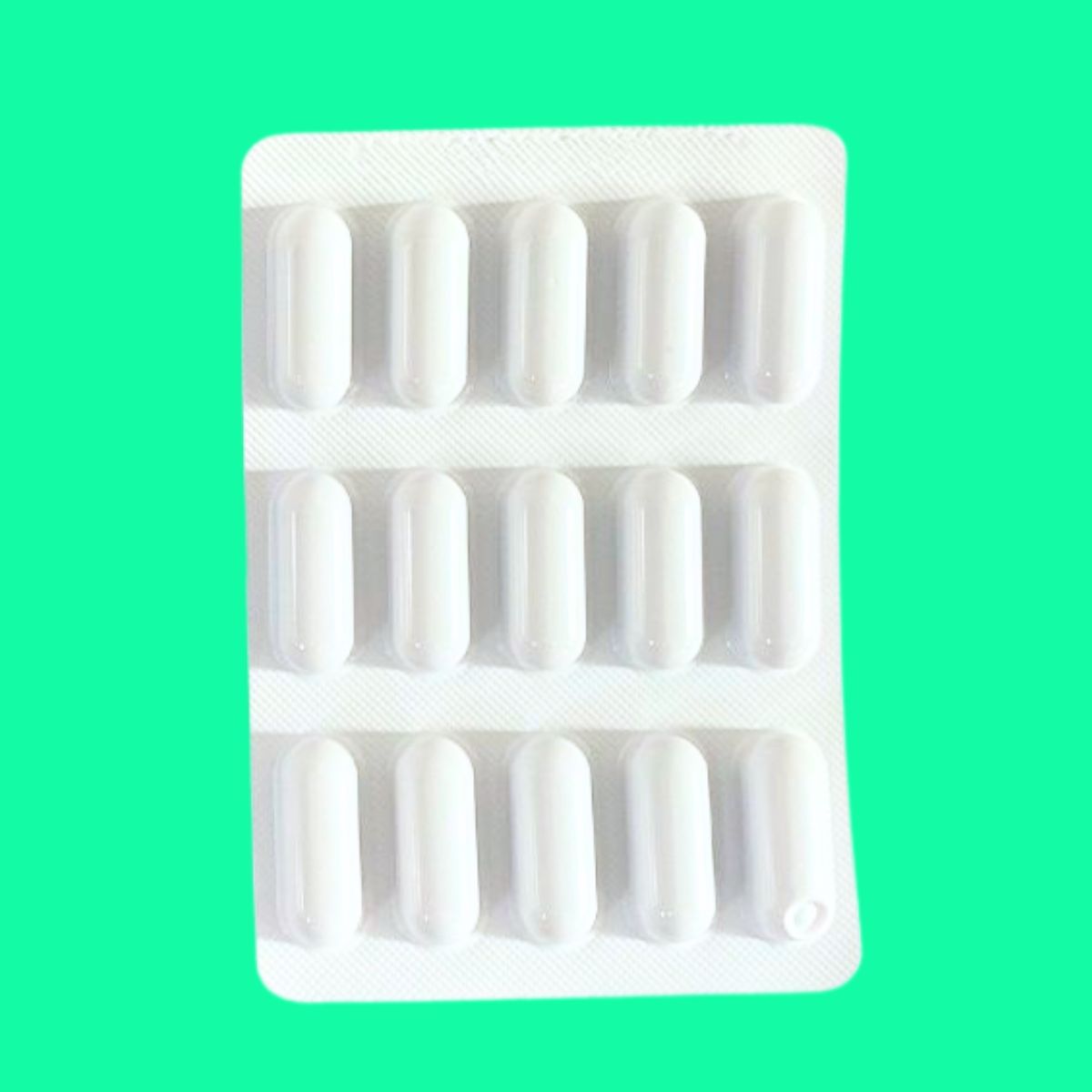 GT-Pomulus-500mg-8 GT-Pomulus 500mg