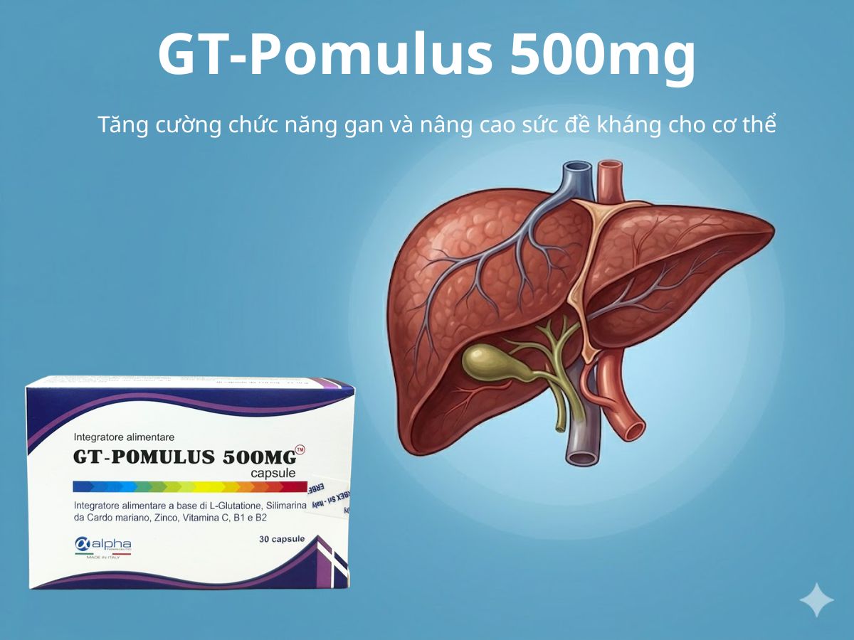 GT-Pomulus 500mg 13 GT-Pomulus 500mg
