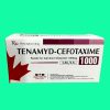 Tenamyd-Cefotaxime 1000 3 Tenamyd-Cefotaxime 1000
