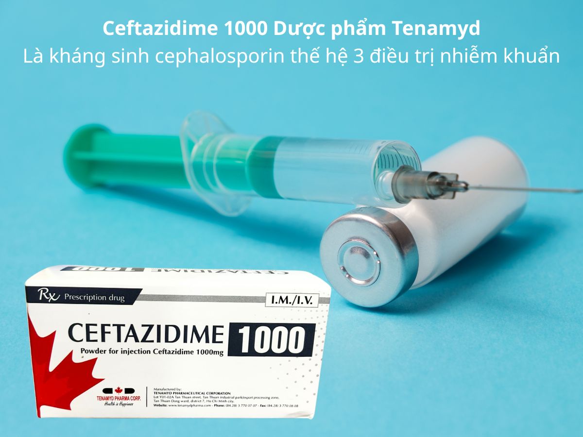Ceftazidime 1000mg Dược phẩm Tenamyd 13 Ceftazidime 1000 Dược phẩm Tenamyd