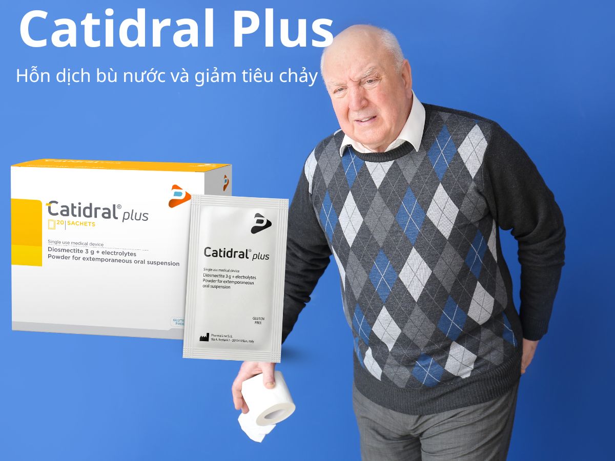 Catidral Plus 6 Catidral Plus