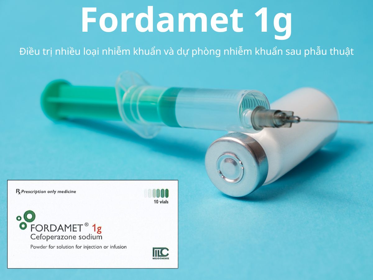 Fordamet 1g 7 Fordamet 1g