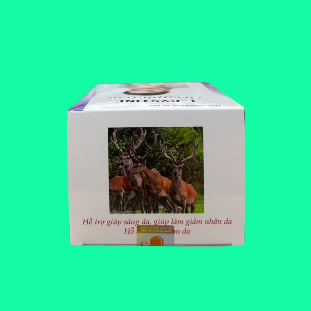 L-cystine-Oregpharm-7 L-cystine Oregpharm
