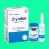 Clyodas 600mg 8 Clyodas 600mg