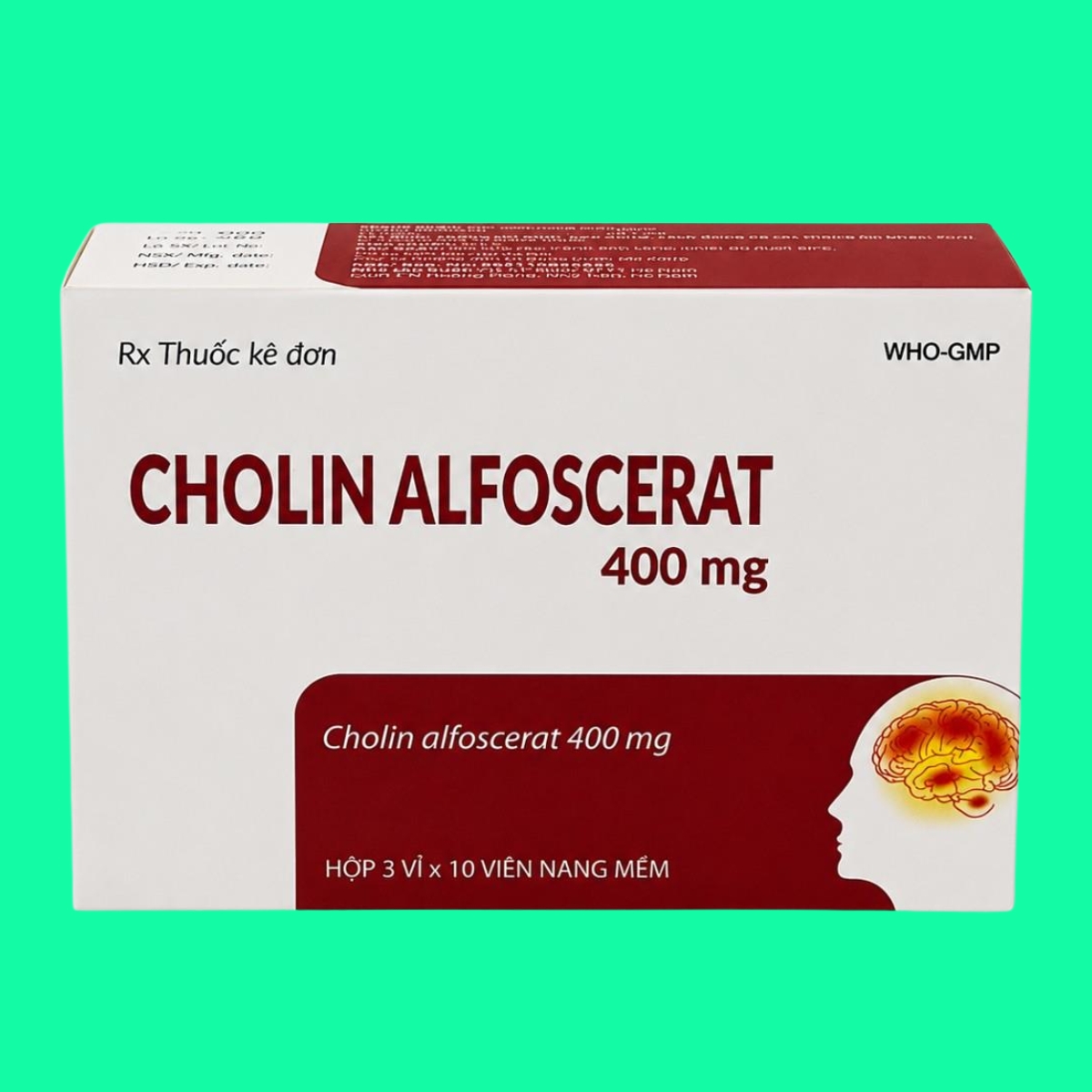 Cholin-Alfoscerat-400mg-ha-Nam-4 Cholin Alfoscerat 400mg Hà Nam