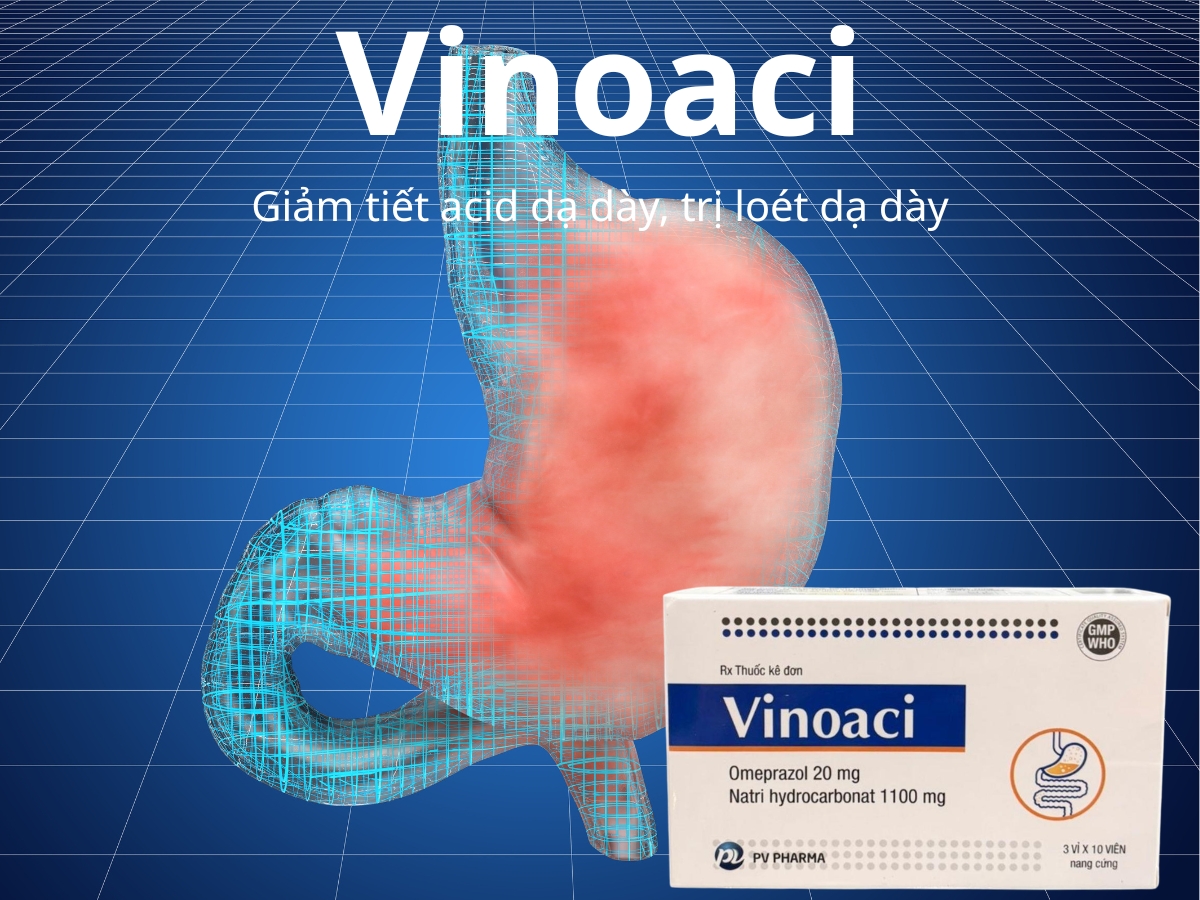 Vinoaci 11 Vinoaci