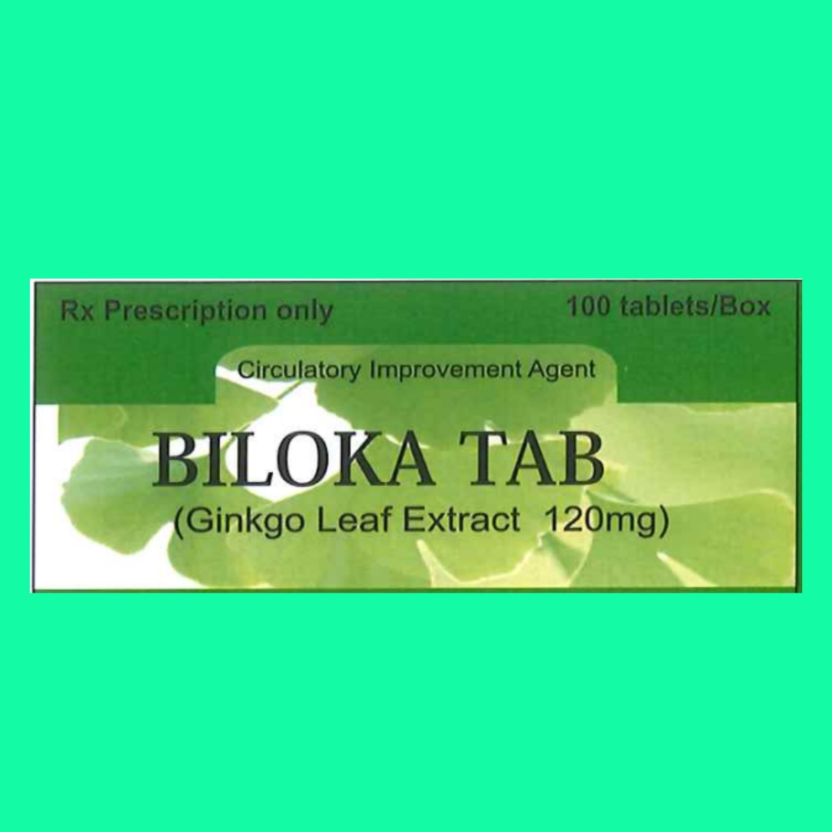 biloka-tab-120mg-1 Biloka Tab 120mg
