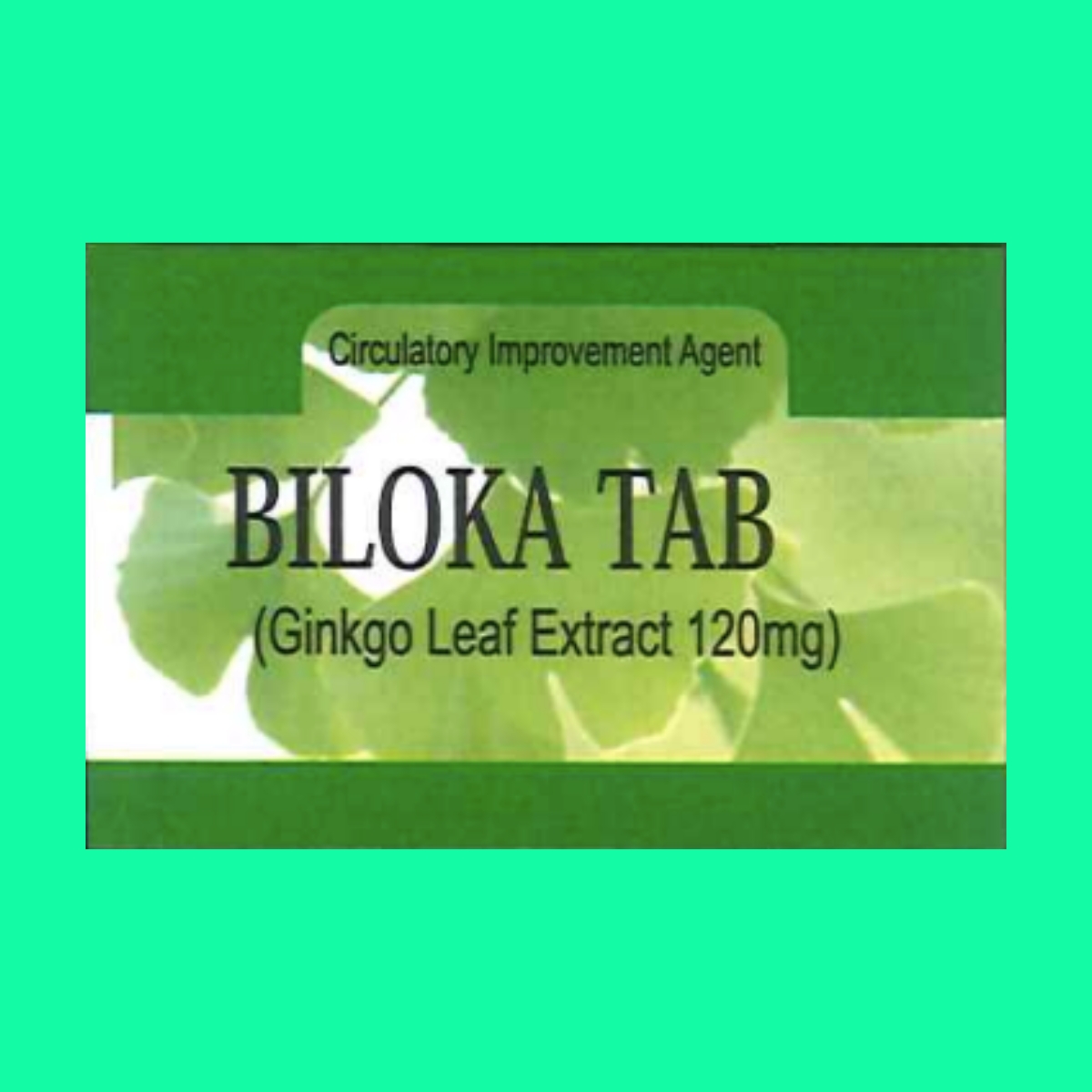 biloka-tab-120mg-2 Biloka Tab 120mg
