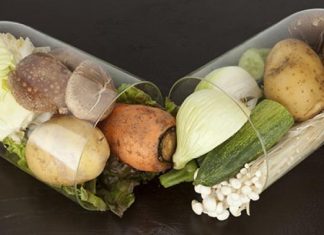 Quyết định 37/2008/QĐ-BYT