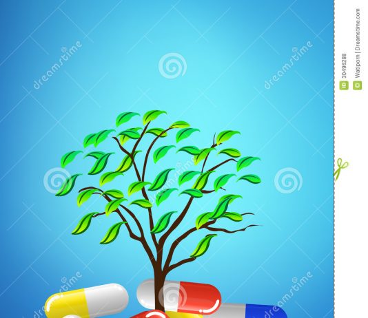 Công văn 13/TCHQ-GSQL