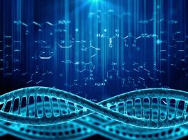 Danh mục vi chất dinh dưỡng