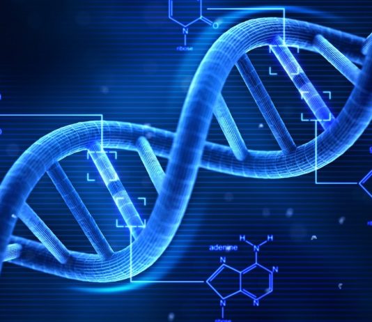 giấy chứng nhận đối với thực phẩm xuất khẩu