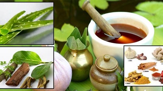 luật đấu thầu về lựa chọn nhà thầu