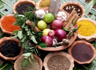 nguyên tắc sản xuất thuốc từ dược liệu