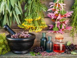 dự thảo thông tư GLP